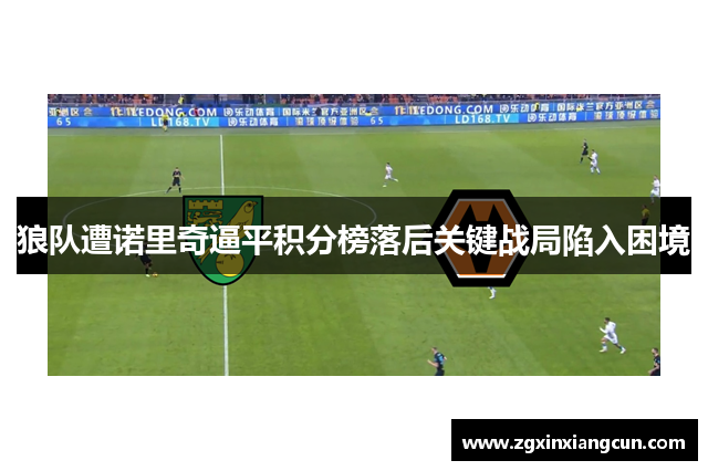 狼队遭诺里奇逼平积分榜落后关键战局陷入困境