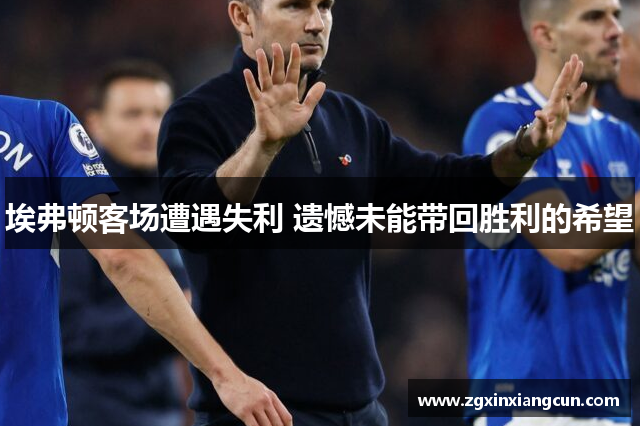 埃弗顿客场遭遇失利 遗憾未能带回胜利的希望