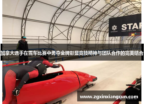 加拿大选手在雪车比赛中勇夺金牌彰显竞技精神与团队合作的完美结合