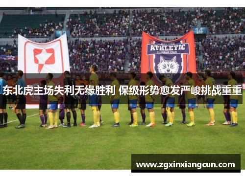 东北虎主场失利无缘胜利 保级形势愈发严峻挑战重重