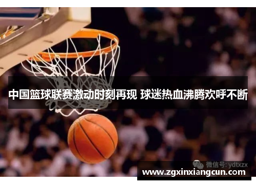 中国篮球联赛激动时刻再现 球迷热血沸腾欢呼不断